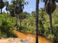 A criação teve o apoio técnico da Associação Caatinga, que tem mobilizado a criação de reservas do mesmo tipo e participado do processo de gestão das unidades (Foto: Reprodução/Internet)