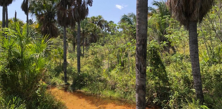 Casal cria reservas naturais em Santana do Cariri