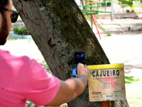 Na atual expansão, também serão instaladas placas inclusivas na trilha dos sentidos do Parque Botânico, com descritivo em braile e em linguagem de sinais (Foto: Diego David)