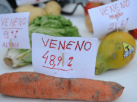 Infelizmente, de acordo com Eveline, não são apenas os agrotóxicos que causam doenças, mas substâncias presentes em vasilhames plásticos, garrafas PET, papeis térmicos de recibo de cupom fiscal, tintas, vernizes, esmaltes e em cosméticos (Foto: Fernando Frazão/Agência Brasil)