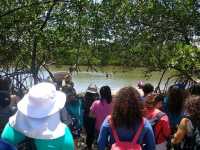 45%  da carga horária curricular do Curso de Ciências Ambientais da UFC é composta de atividades práticas, permitindo aos estudantes aprendizagem além da sala de aula (Foto: Acervo do Curso de Ciências Ambientais da UFC)