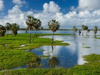 A Lagoa da Precabura, localizada entre Fortaleza e Eusébio, foi reconhecida como Área de Proteção Ambiental e deve ter o uso regulado de acordo com um plano de manejo (Foto: Reprodução/Internet)