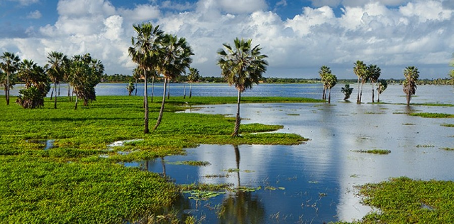 Lagoa da Precabura é reconhecida como APA