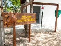 Centro faz parte do Labomar e fica localizado no Eusébio (Foto: Ribamar Neto/UFC)