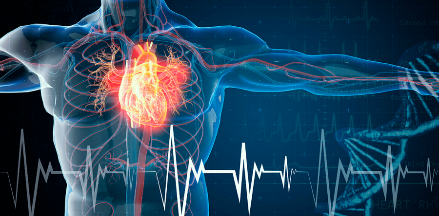 Projeto oferece tratamento para doenças cardiovasculares