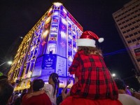 Ceará Natal de Luz realiza distribuição de mudas nativas e também recebe doações de alimentos para a campanha Ceará sem Fome (Foto: Fernanda Barros/ O Povo)