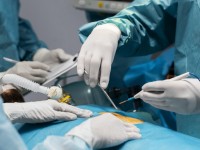 Serviço de Transplante de Medula Óssea do Hospital Universitário detém  nível máximo  do Programa de Qualidade  no Ministério da Saúde (Foto: Divulgação)