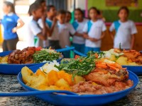 ações de educação alimentar devem fazer parte dos currículos escolares de forma transversal, cruzando conteúdos cotidianos (Foto: Agência Brasil)