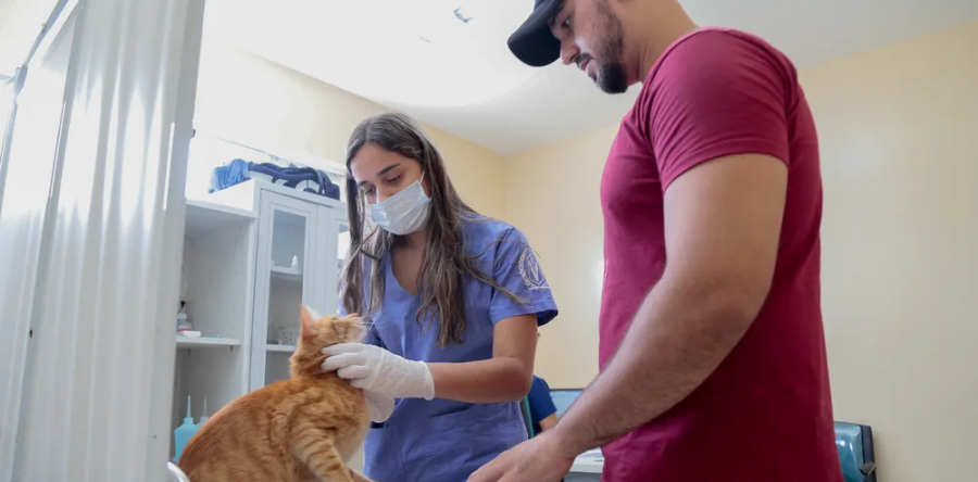 VetMóvel realiza atendimentos no Presidente Kennedy