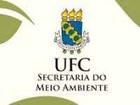 (FOTO: Divulgação UFC)